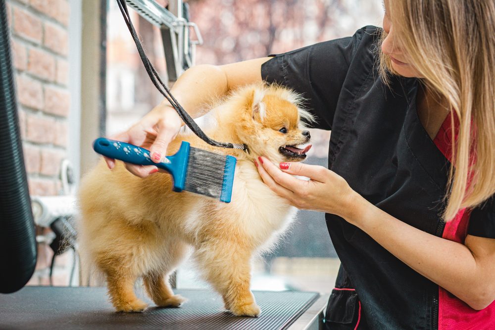 What the Blow Out Process Removes